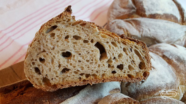 pane di lenticchie fondo