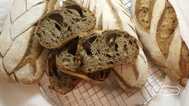 granoarso fondo