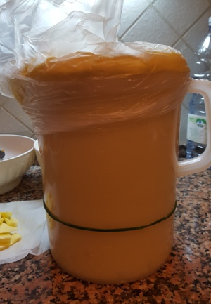 1colombe aifb impasto