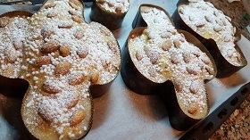 4colombe aifb glassate