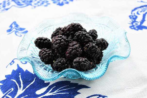 liquore gelsi centrale