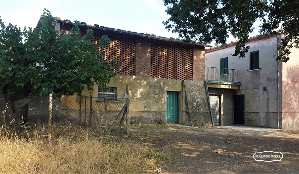 liquore gelsi centrale3