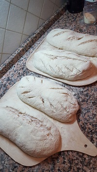 pane farro e patate 5