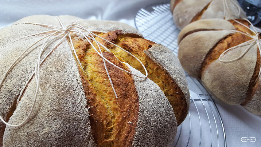 IL MIO PANZUCCA, ISPIRATO AL TRADIZIONALE PANE ALLA ZUCCA