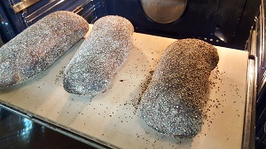 pane tipo Genzano5
