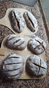 pane cacao frutta secca 9