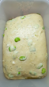 brioche fave pecorino4
