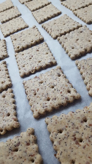 crackers e biscotti salati1
