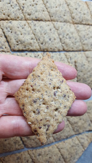 crackers e biscotti salati3
