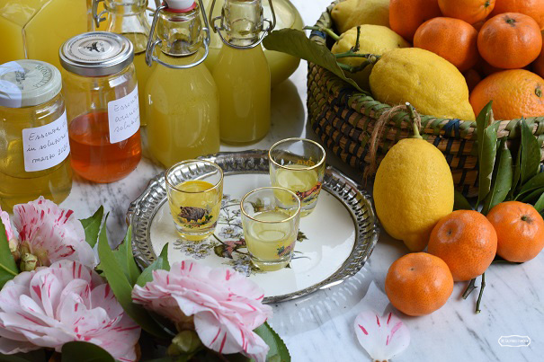 liquori di agrumi 3