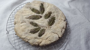pane etrusco6