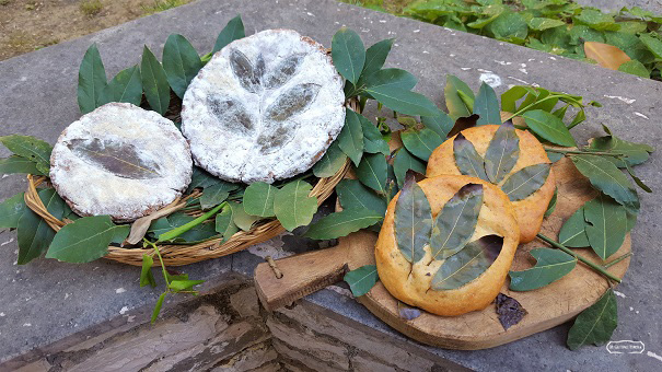 pane etrusco 3