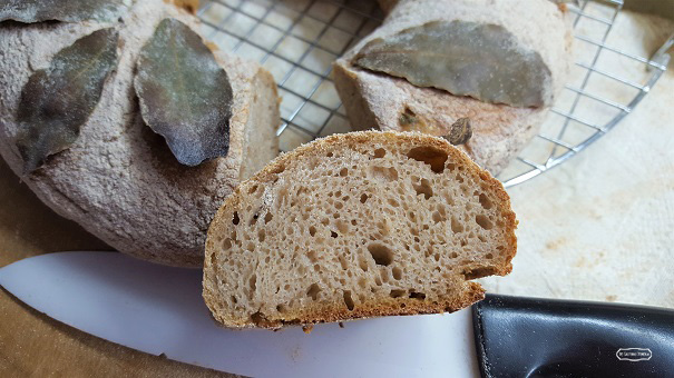 pane etrusco rivisitato 1