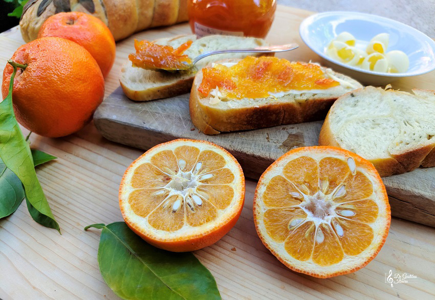 marmellata di arance amare 3