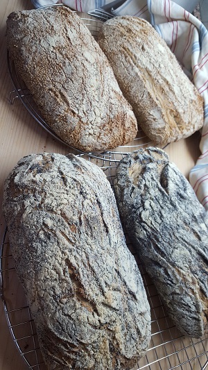 pane mille semi 1