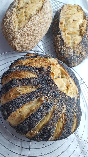 pane mille semi 4