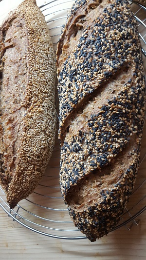 pane mille semi 5