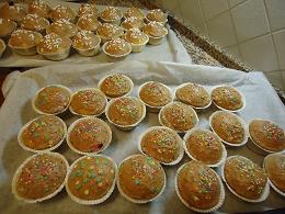 muffin7