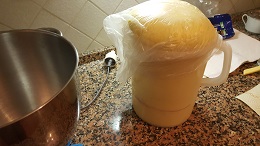 pandoro2