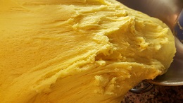 pandoro4