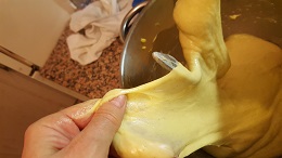 pandoro5