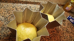 pandoro6