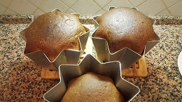 pandoro8