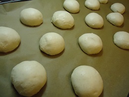 burromiele5