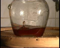 colatura 12